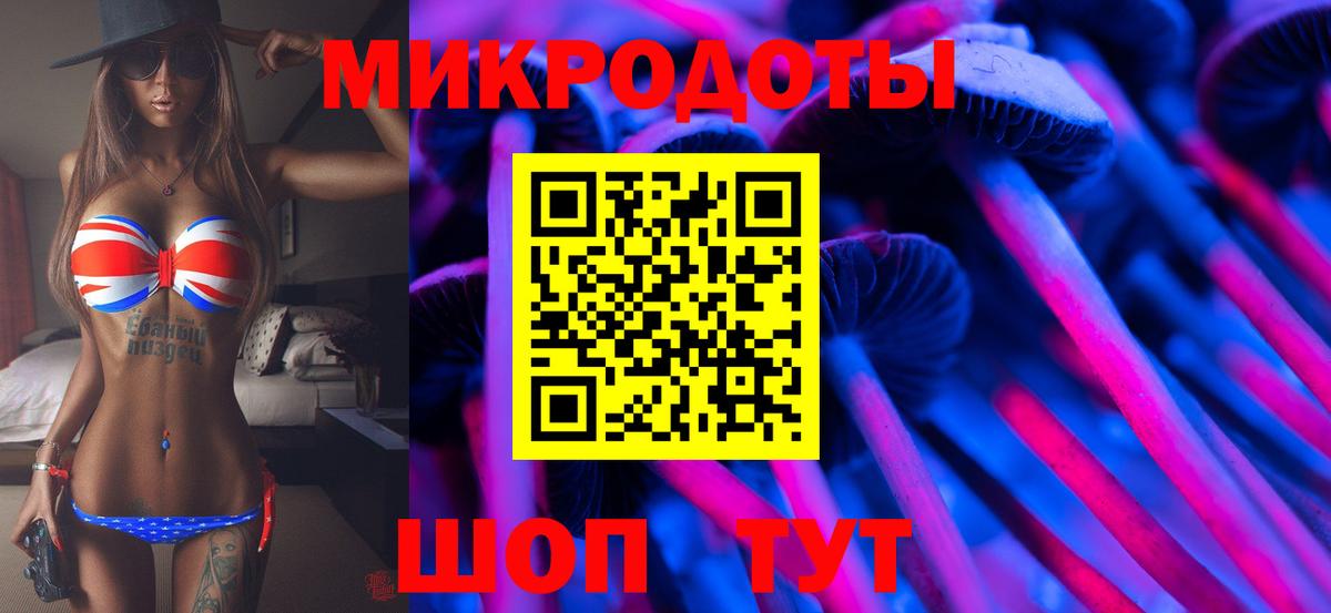 Галлюциногенные грибы MAGIC MUSHROOMS Вичуга